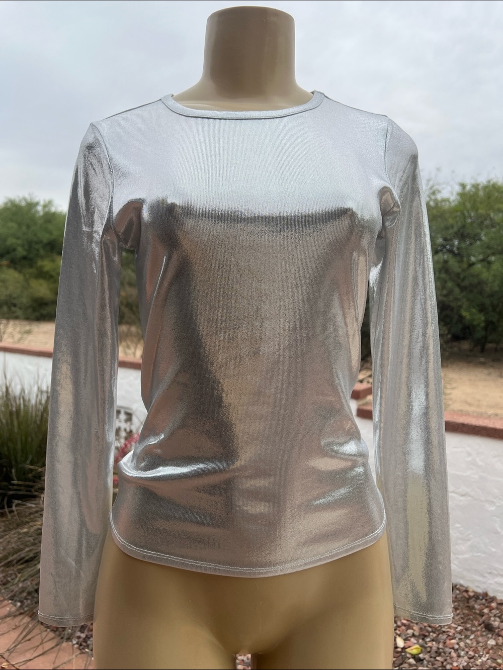 NWT $69 EVERY - Silver Metallic Long Sleeve Top
